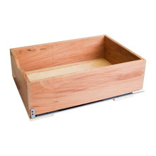 organization