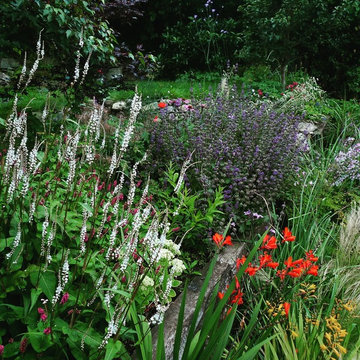 Home Garden