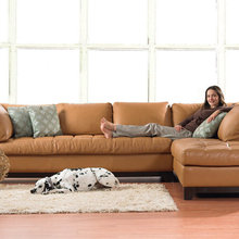furnishings