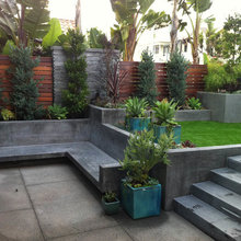 Landscape Ideas