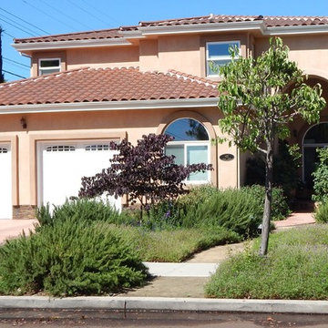 Lush Drought Tolerant Garden