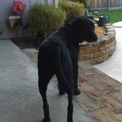 Glenna Strickland Bollen's photo