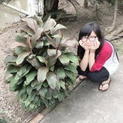 Xì Tai Be's photo