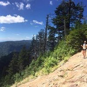 Stephanie Meadows's photo