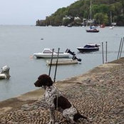 Jodie Kitto's photo
