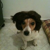 Florence forain's photo