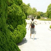 Ning Zhang's photo