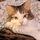 susan_h92