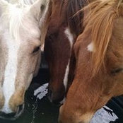 Foto von Beth Frye