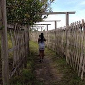 Fabienne ZP's photo
