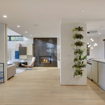 The Dwelling Home