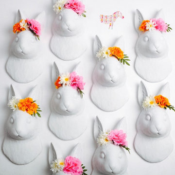 White Faux Taxidermy in Color