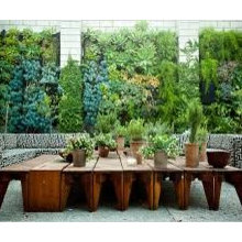 Green Walls
