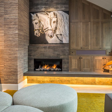 Penthouse Remodel