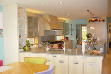Kitchen - contemporary kitchen idea in Other