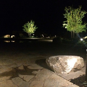 Natural Free Form Pool