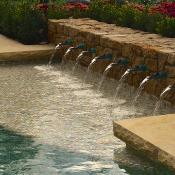 Lap Pool