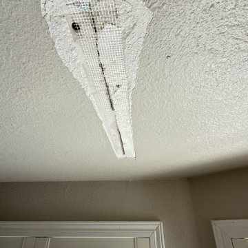 EXTERIOR PAINTING & CEILING REPAIR — HANDYMAN KATY, TX (77450)