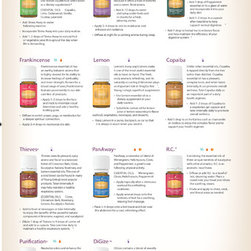 Essential Oil for Everyday - Lifestyle And Leisure