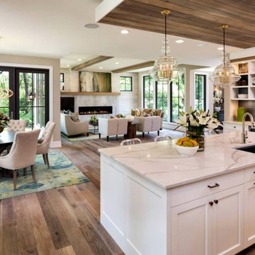 Contemporary Kitchens
