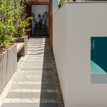 Rooftop House