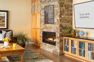 Castle Pines Fireplace