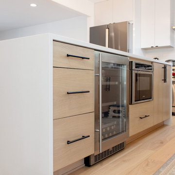 Contemporary Whole Home Remodel in Arlington Heights