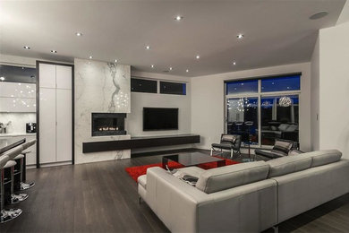 Family room - large contemporary open concept dark wood floor and brown floor family room idea in Other with beige walls, a standard fireplace, a stone fireplace and a wall-mounted tv