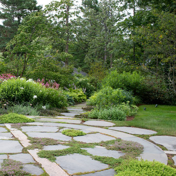 Transitions: Pathways, Landings & Steps
