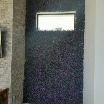 Fake Ivy Projects