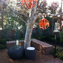 Pearl backyard