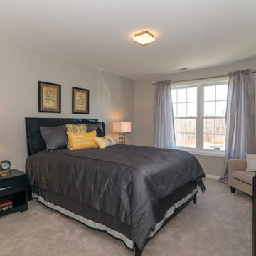 The Pimlico Model