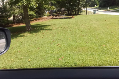 Lawn Care
