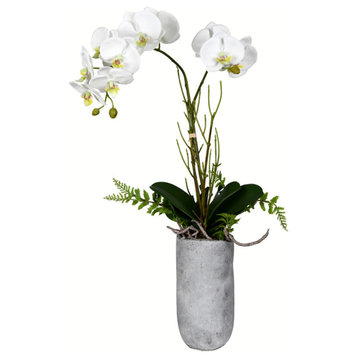 Vickerman 17" White Yellow Orchid In Glass Pot