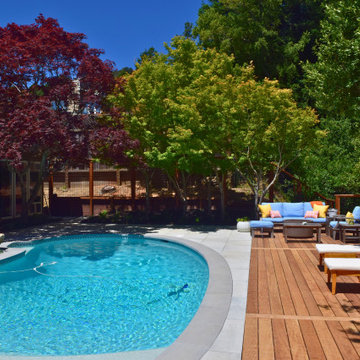 Backyard Pool Deck in San Rafael
