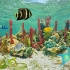 Colorful Tropical Fish Marine Life Coral Reef Wildlife Photo Canvas Art Print, 16" X 20"