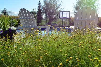 Photo of a contemporary garden in Omaha.
