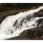 Carla Kisko's photo