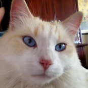 Nancy Riess's photo