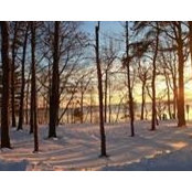 Sally Cusack's photo