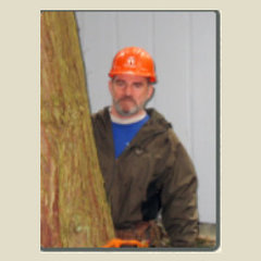 Timber Topper Tree & Landscape Service