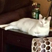 Cindy Rygiel's photo
