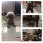 Rowie Yu's photo