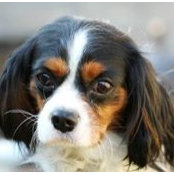 Susan Churella's photo