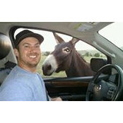 Brendan Petersen's photo