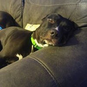 Gregory Allen Cole's photo