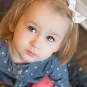 Mike Perkins's photo