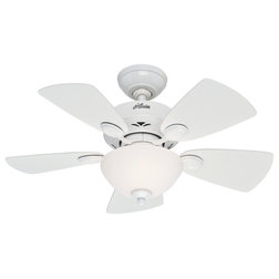 Traditional Ceiling Fans by Buildcom