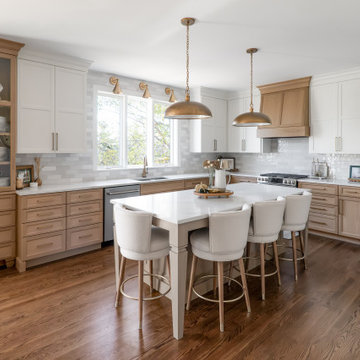 Kitchen & Main Floor Remodel, Edina MN
