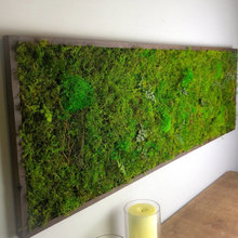 moss wall art